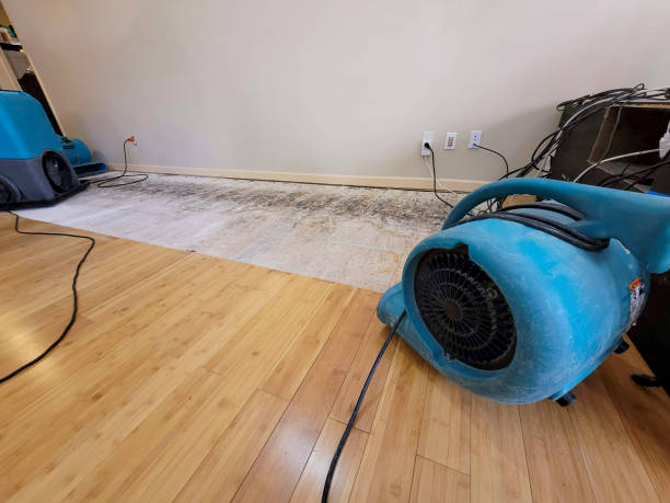 Professional Water Damage Repair technician working in Dayton, NJ